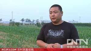单梢洁借钱养猪年售4000万　[致富经]【库百科农业网】