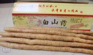 小白嘴白山药种植，种白山药个小能耐大效益好[每日农经]【库百科农业网】