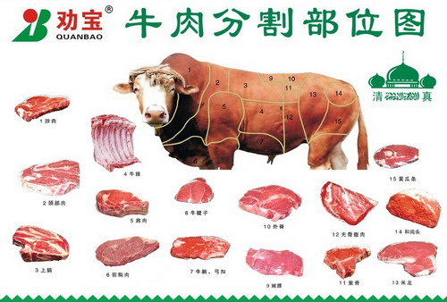 肉牛分割技术、肉牛分割部位和方法　[农广天地]【库百科农业网】