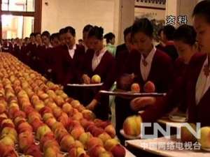 [致富经视频]云南丽江