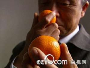[致富经视频]丁友生新