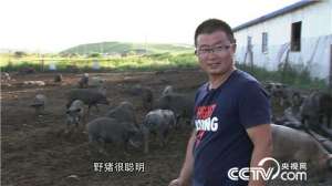 [致富经]赵红松：同样养猪养羊 能卖出三倍价格的秘密【库百科农业网】