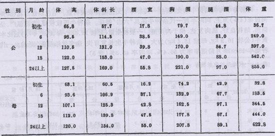 海福特牛【库百科农业网】