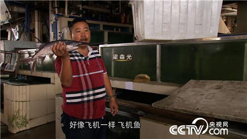 [致富经]梁森光：娶个好强的媳妇后养鸭嘴鱼致富【库百科农业网】
