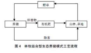 推介3种环保型生态养猪模式【库百科农业网】