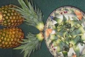 菠萝头怎么种水培【库百科农业网】