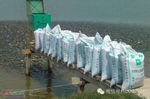 鲫鱼高密度养殖技术【库百科农业网】