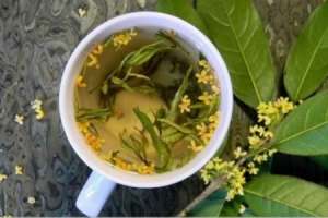 桂花泡茶喝有什么作用，桂花泡茶的做法【库百科农业网】