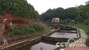 [致富经]韩显英：进山建养殖基地养鱼赚千万【库百科农业网】