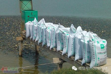 鲫鱼高密度养殖技术【库百科农业网】