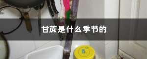 甘蔗是什么季节的，