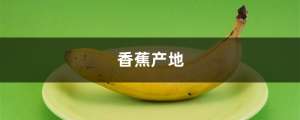 香蕉产地，香蕉品种