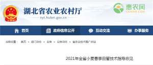 2021年全省小麦春季田管技术指导意见