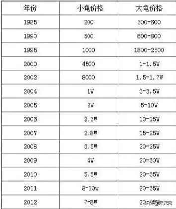 金头闭壳龟多少钱？金头闭壳龟特点及图片？