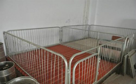 小猪保育床尺寸是多少？仔猪保育床价格多少钱一组？